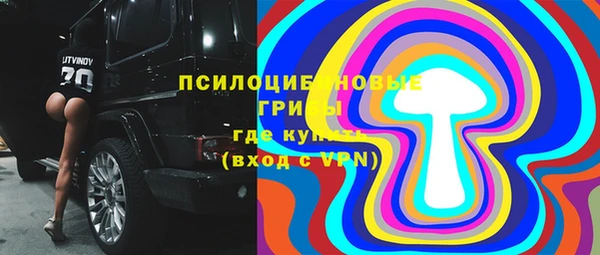 ГАЛЛЮЦИНОГЕННЫЕ ГРИБЫ Армянск