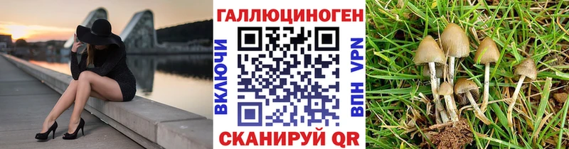 Галлюциногенные грибы мухоморы  Черняховск 